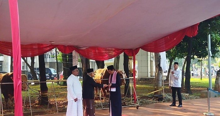 Ma'ruf Amin serahkan sapi kurban ke Masjid Istiqlal. (Foto: Kurniawan Fadilah/detikcom)