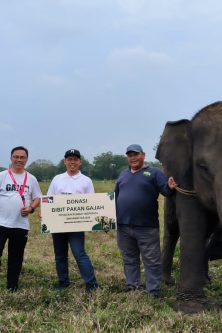 Dukung Kebelanjutan Gajah Erina di way Kambas