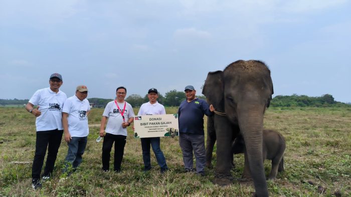 Dukung Kebelanjutan Gajah Erina di way Kambas