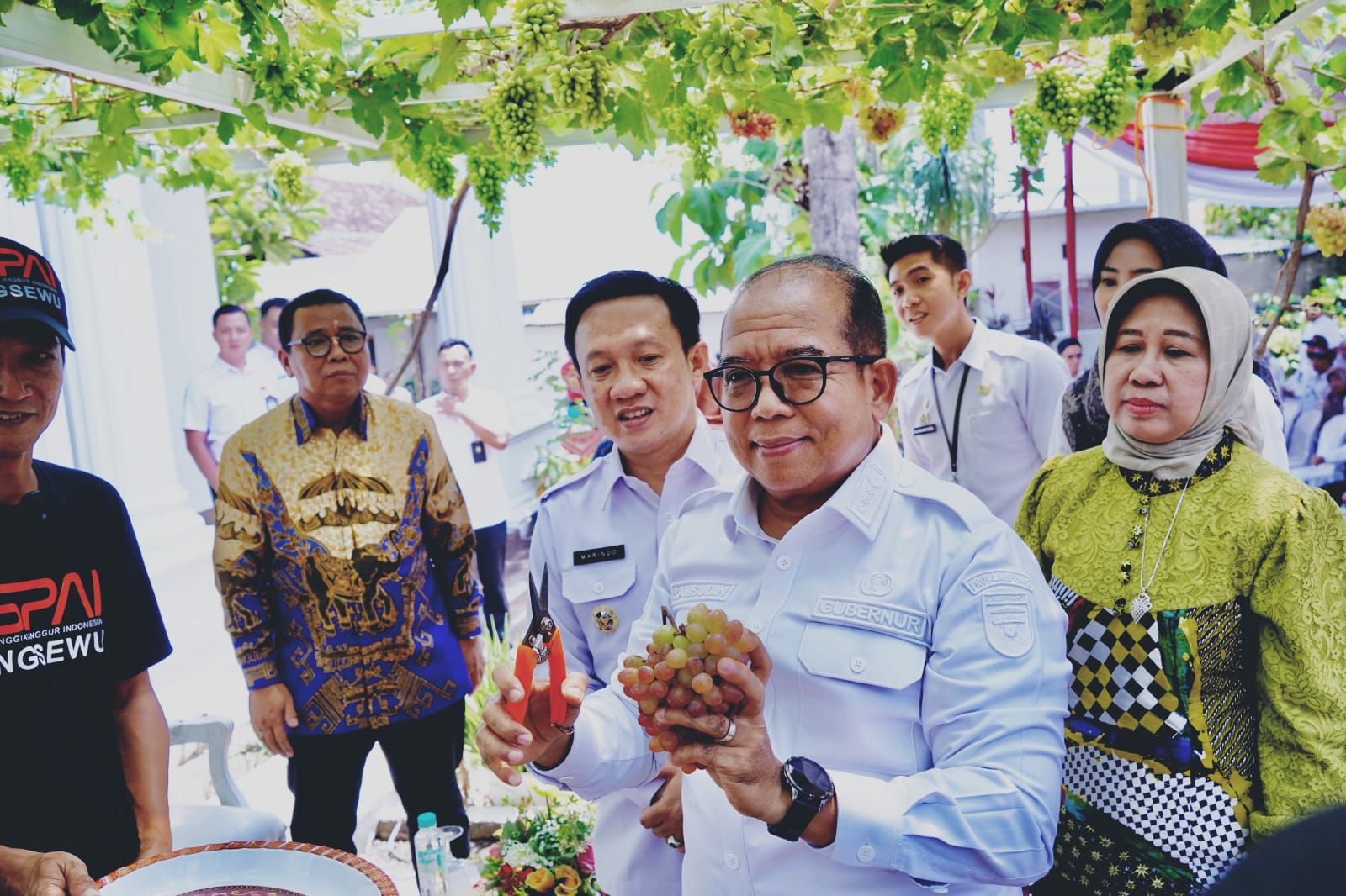 Upaya Pj.Bupati Jadikan Pringsewu Kota Anggur Didukung Penuh Pj.Gubernur Lampung