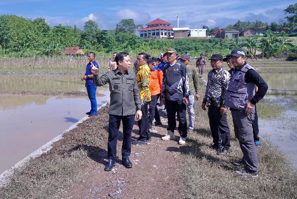 Tinjau Lokasi Terdampak Banjir di Ambarawa, Pj Bupati Pringsewu Serahkan Bantuan