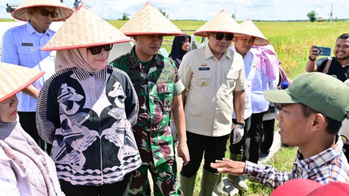 Pemkab Lamsel Ikuti Panen Raya Serentak di di 14 Provinsi se-indonesia Bersama Presiden
