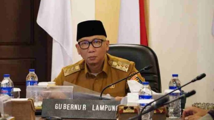 Gubernur Mirza Berjuang Untuk Harga Singkong yang Layak Gubernur Mirza Berjuang Untuk Harga Singkong yang Layak